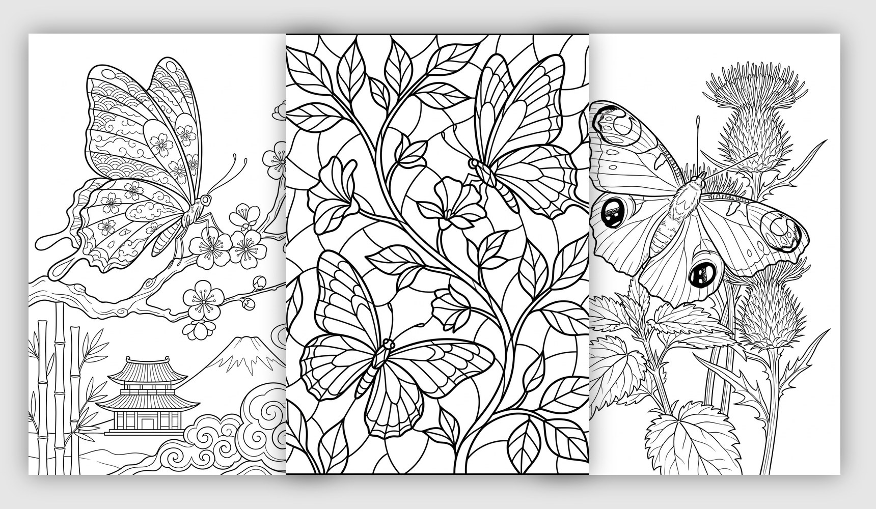 butterfly coloring pages navigation card