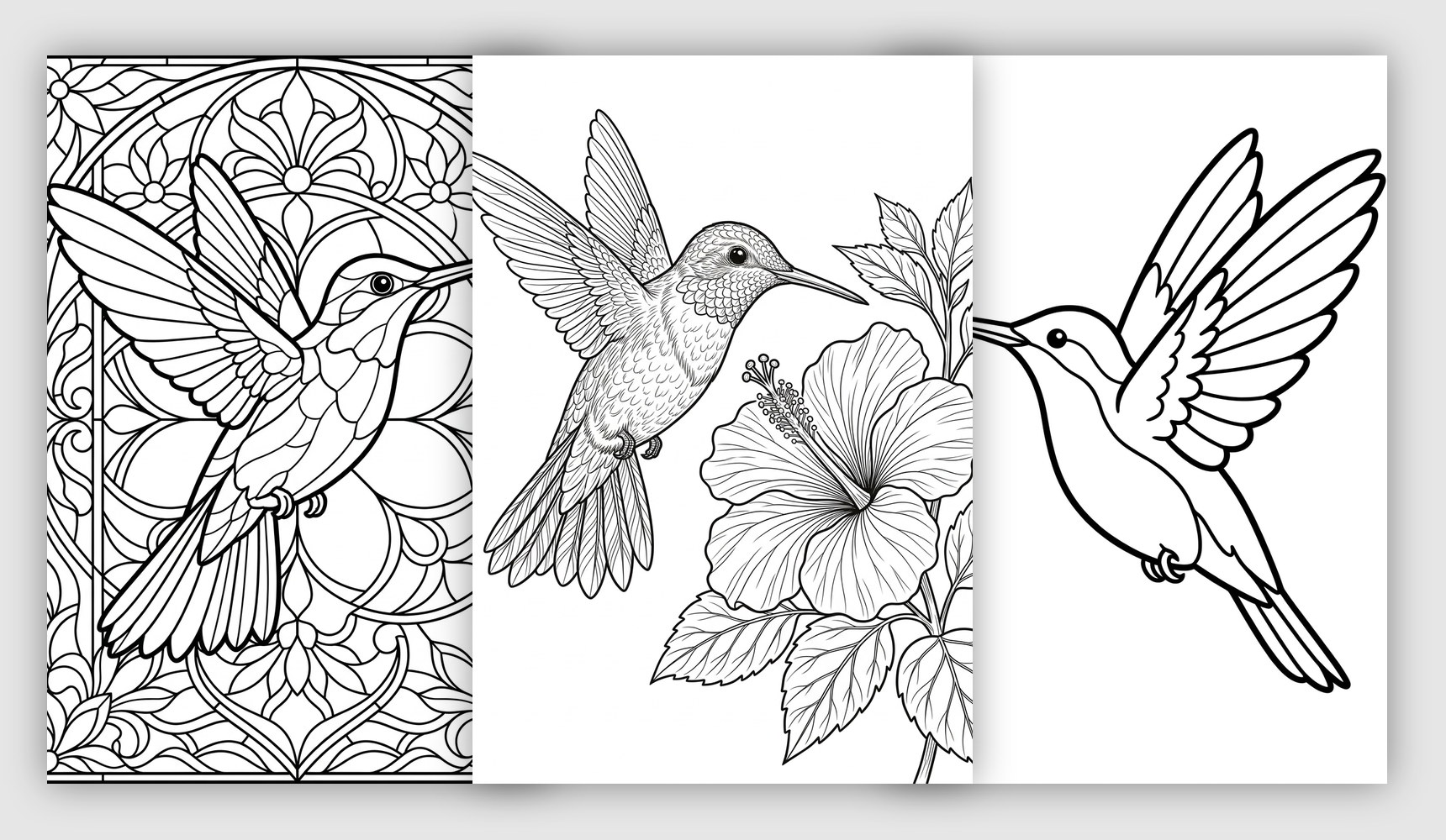 Hummingbird Coloring Pages